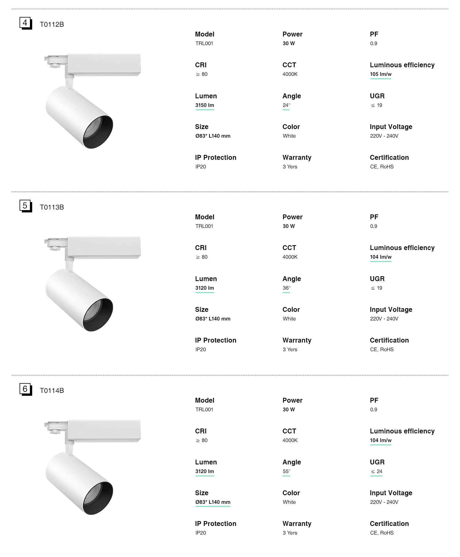 Großhandel Schienen Lampen Strahler 12W 3000K 960LM Strahlenwinkel 24˚ Schwarz-Schienensystem Lampen-Helles Licht-03