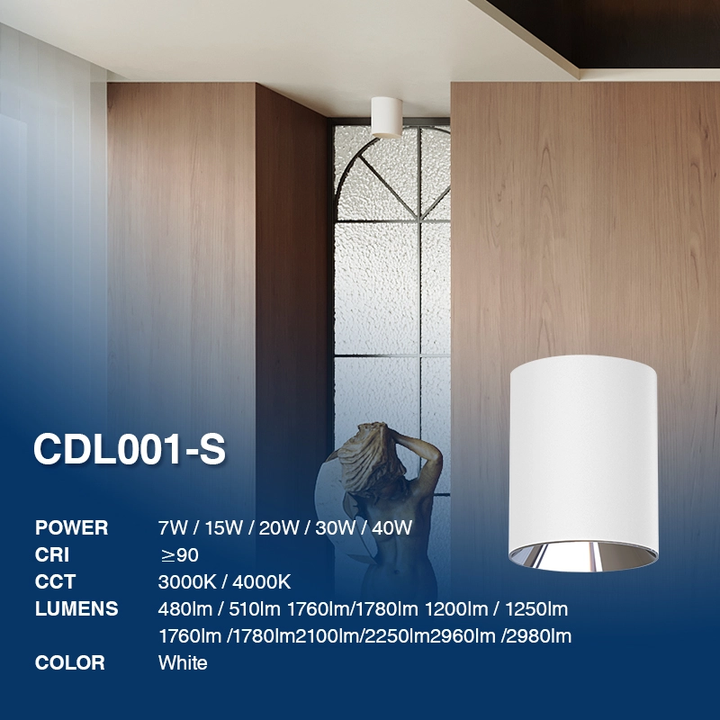D1007 30W 3000K 21000LM 60˚ Ra80 - Downlights-Downlights-Aluminiummaterial-02
