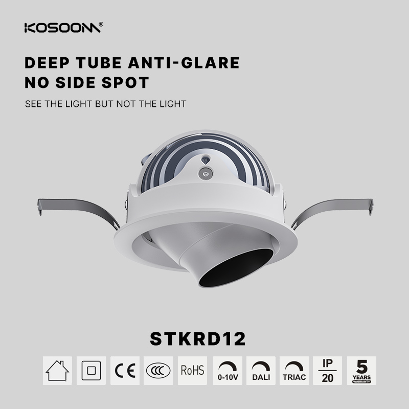 Factory Directly Custom 12W High Efficient Spotlight Down light 900LM Abstrahlwinkel 120° STKRD12-Kosoom-LED Strahler