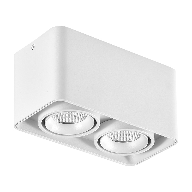 Bridgelux C6 Doppellinse, 6W2, 500LM*2, mehrere Winkel - SLKS206 - KOSOOM